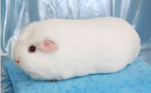 想念天堂妈妈短句人生格言 励志23