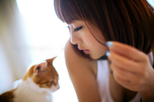 三国杀名字酷点的网名211个