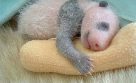 好听的女生qq网名qq名女生273个