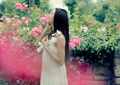 旅行的句子唯美短句祝考试成功简短