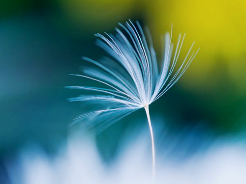 最红微信名微信号推荐133个