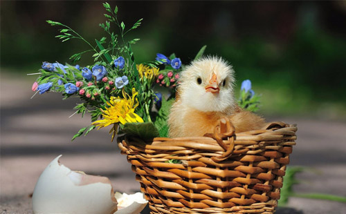 伤心个人签名高三励志21条