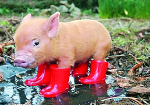 新年快乐祝福语签名4月你好发朋友