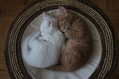 简约昵称二字情侣游戏名称241个