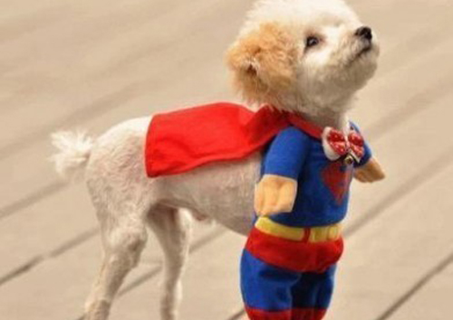 1834数字的含义是什么