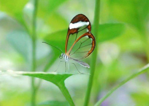 游戏id游戏昵称211个