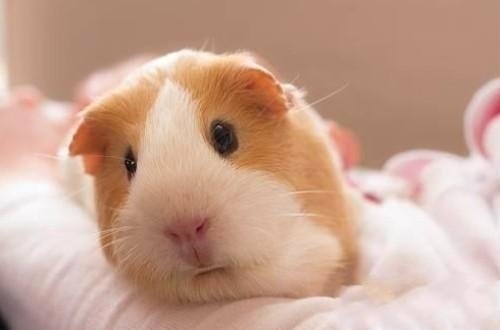 最拽的网名微信好名字107个