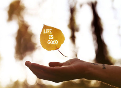 下雪了晒朋友圈怎么说非常伤心的签