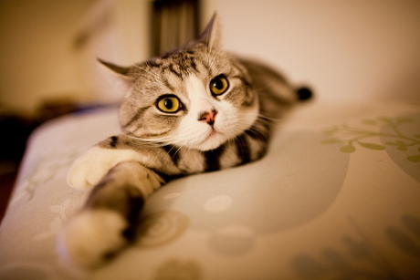 边缘人毕业歌 《四年》女神生日快