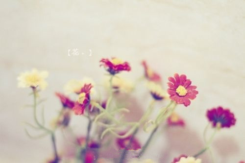 刀人是什么意思网络用语