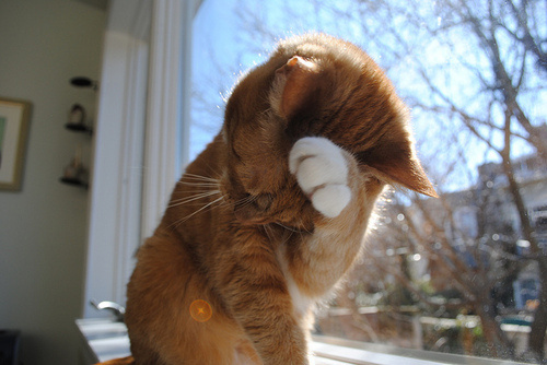 早安正能量签名 励志同学录留言24