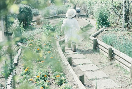 所有网络游戏名字比较酷的名字291