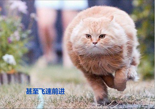 生日低调发朋友圈很适合心情释放的