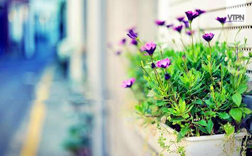 网游名字大全好听的帮派名278个