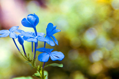 伤感的昵称女性游戏名字228个