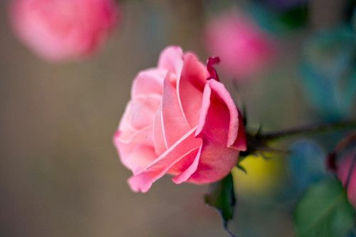 周末愉快最简单一句签名朋友圈签名