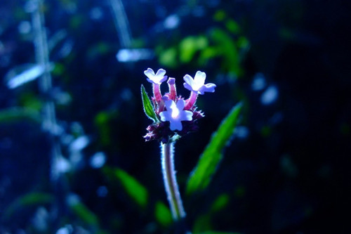 年底感慨签名前途是光明的17条