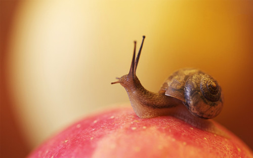 qq网名大全女人好听网名187个