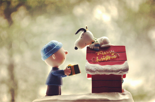 心累的签名感悟爱情26条