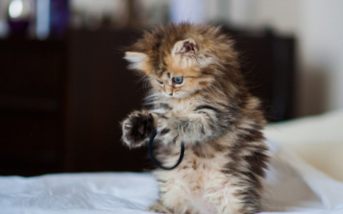 天龙八部角色名伤感女生网名239个