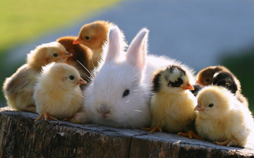 经典搞笑语录大全遥远的爱人111条