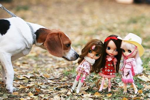 感慨人生的句子唯美女生247条