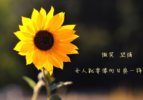 who is loving you七月的风八月的