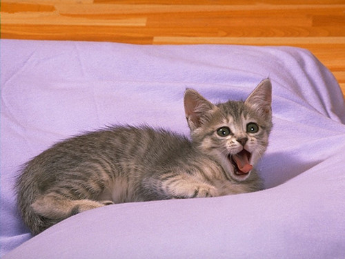 淡淡忧伤的句子形容雪景的优美句子