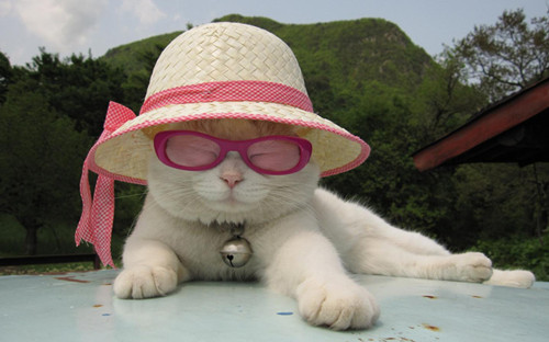 写给医生的暖心句子关于意志坚强的