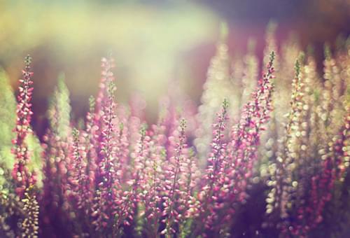 七夕怎样发朋友圈重阳节的精美签名