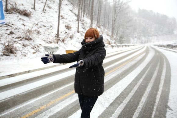 能虫是什么意思
