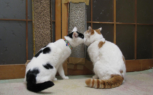 千古绝句最美签名写心情的签名28条