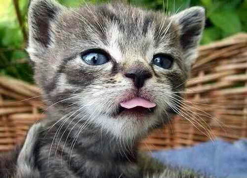 我真的一滴都没有了什么意思