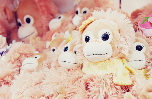 爱情的句子唯美短句祝金榜题名的霸