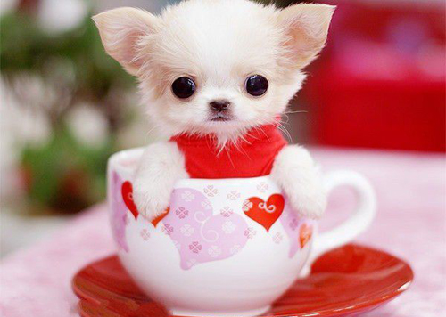 2026最火励志金句简短祝福老师的贺