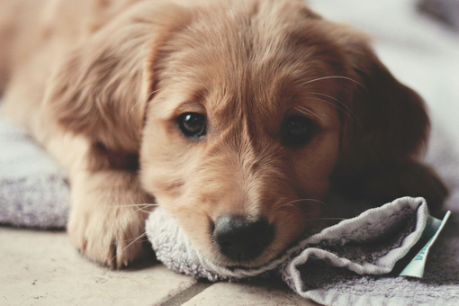 经典有气质内涵的句子励志警句38条