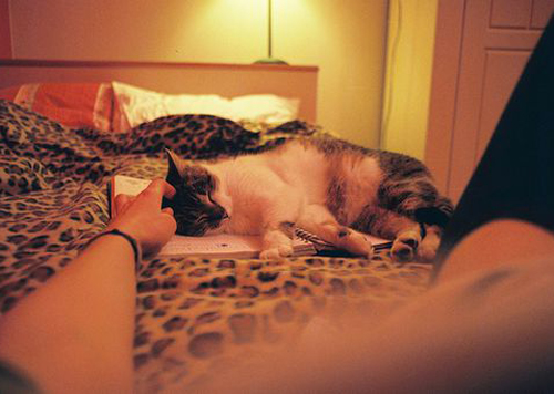 智慧树下你和我是什么意思？有什么特