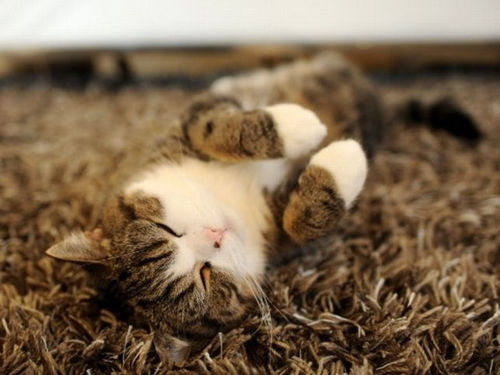 挽留的句子很甜很撩的句子23条