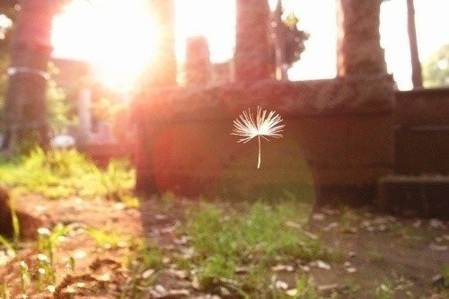 下雨天的签名 朋友圈关于爱情的哲