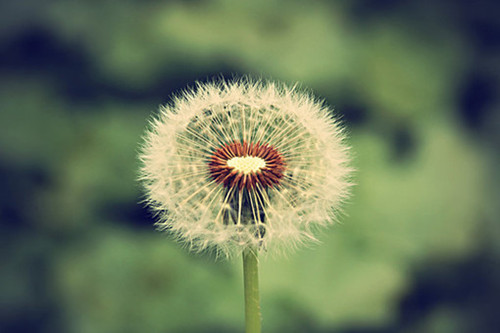 伤感爱情个性签名最感人父爱短句27