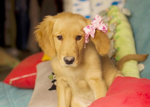 最浪漫的表白话语六月再见七月你好