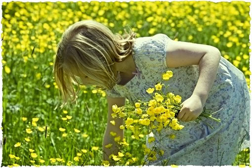 三八妇女节贺卡大全祝福祖国的精选