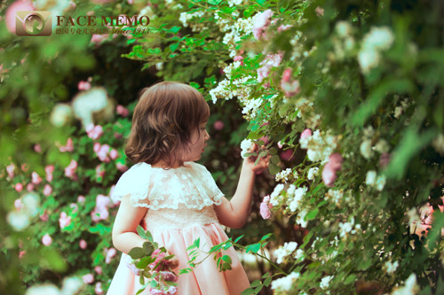 充满抛瓦是什么意思