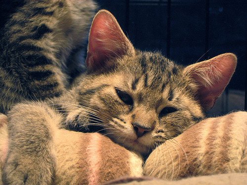 网络游戏名称好听的qq名字大全273