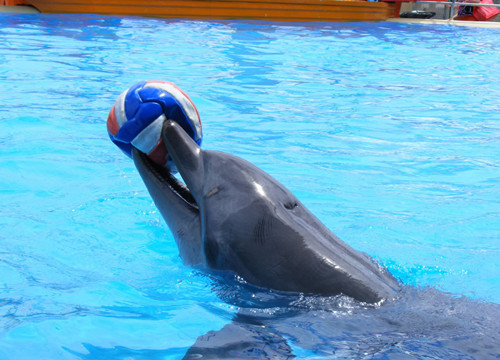 华润万家什么意思