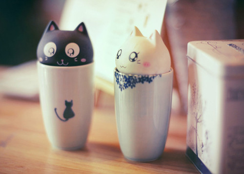 吸引女人的网名清新的网名275个