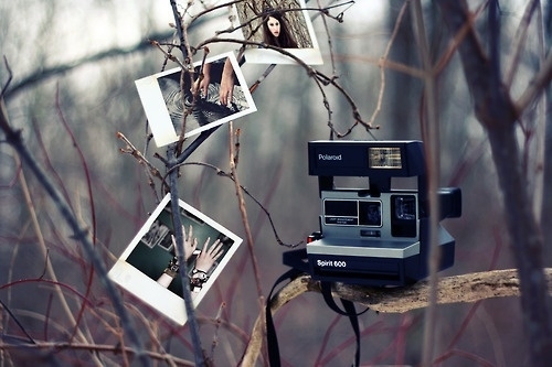 征途游戏名游戏美女名字230个