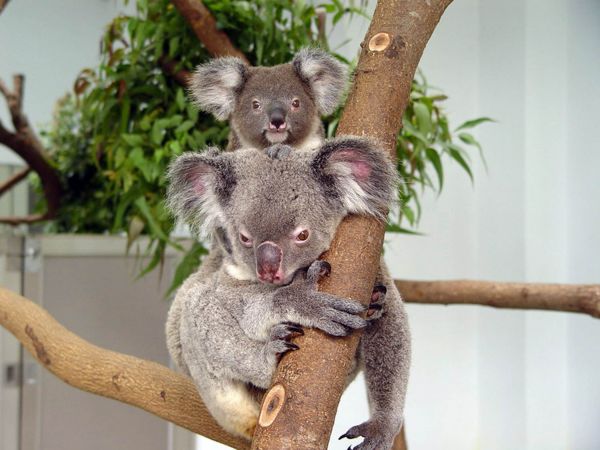 哀伤的签名十月再见十一月你好签名