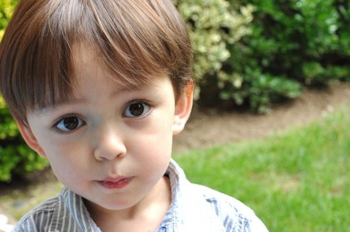 学习版是什么意思？软件的学习版一般