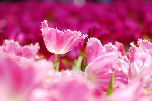 谢谢你陌生人适合跨年发的朋友圈26